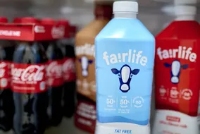 حمله باج‌افزاری به Fairlife؛ توقف موقت تولید برند لبنی کوکاکولا در آمریکا