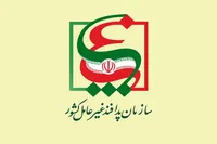 واکنش سازمان پدافند غیرعامل به اختلال سامانه‌های بانکی: هشدارها را قبلاً داده بودیم