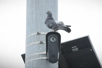 فلوریدا و تگزاس دوربین‌های Flock را محدود می‌کنند؛ نگرانی از نقض حریم خصوصی